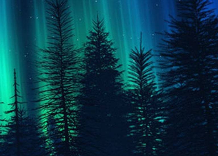 Northern lights