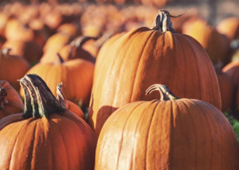 Pumpkins